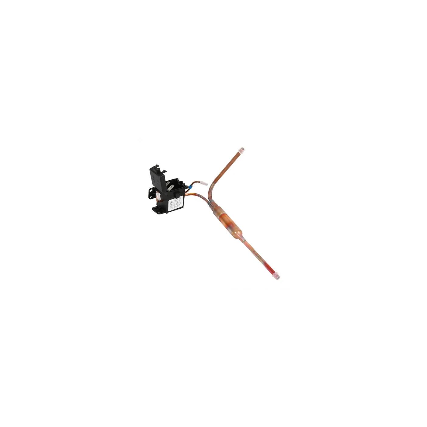 AEG Conjunto de electroválvula para frigorífico / congelador 2425688013