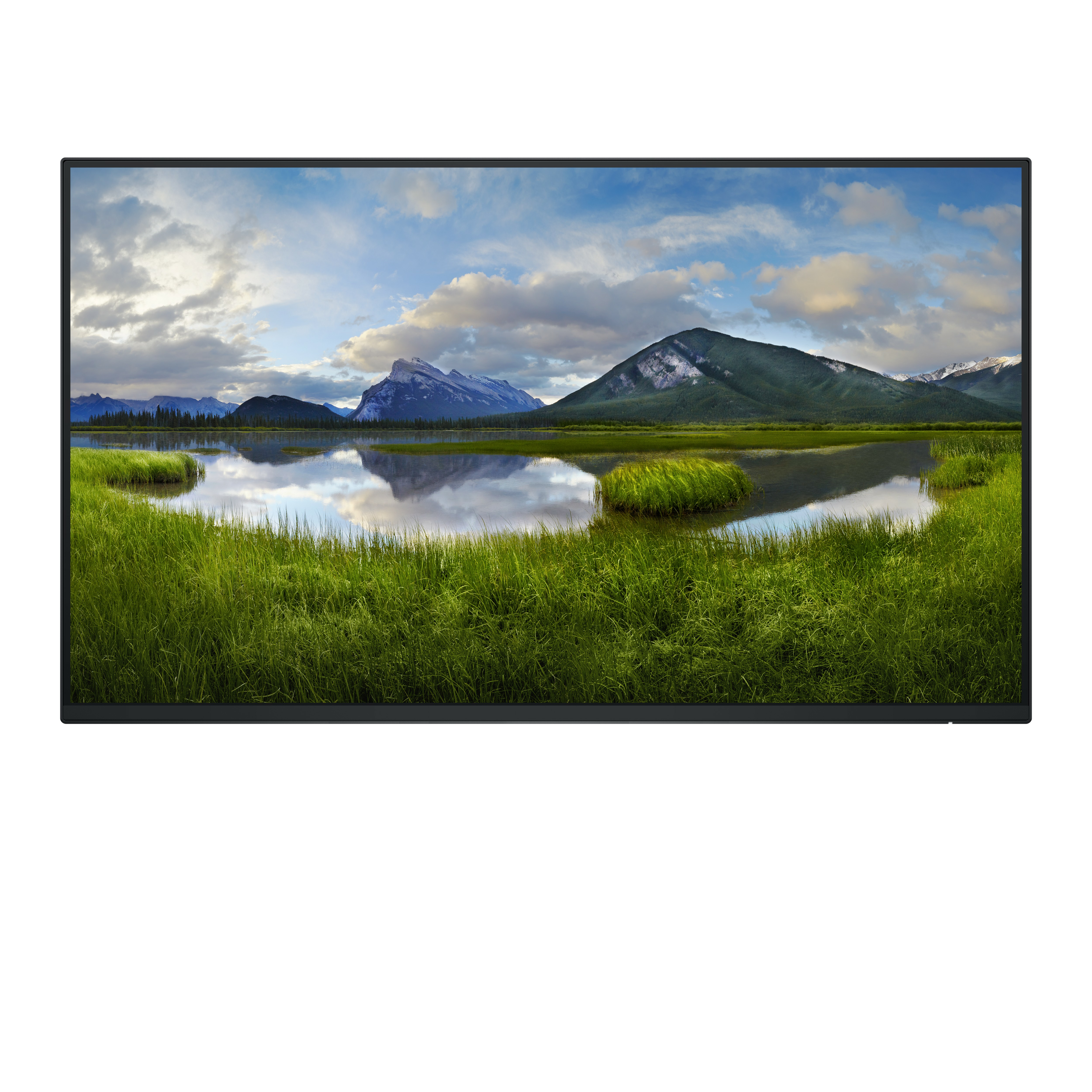 DELL Pro Plus P2425H_WOST pantalla para PC 61 cm (24") DELL-P2425HWO