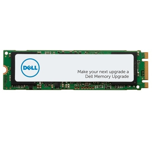 DELL AA615519 unidad de estado sólido M.2 256 GB PCI Express AA615519