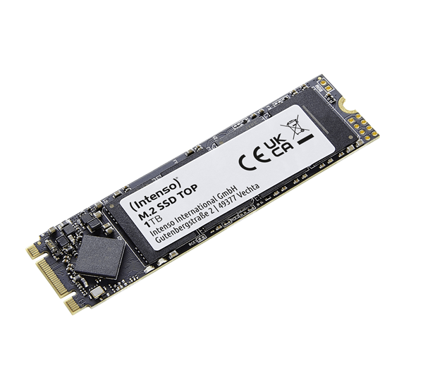 INTENSO Top SSD 1000GB M.2 550MB/s Serial ATA III