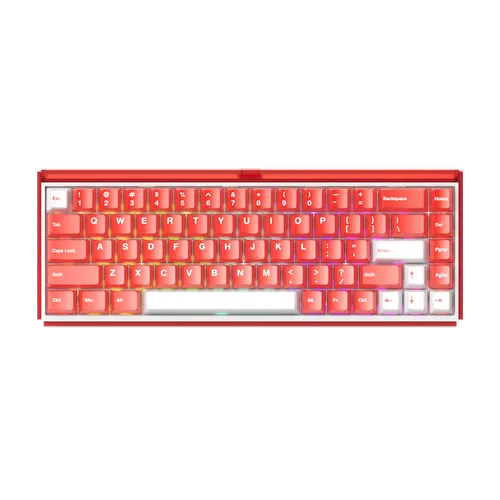 Ray68 HE Magnetic Keyboard