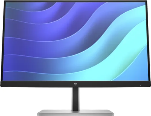HP E-Series E22 G5 54,6 cm (21.5") 1920 x 1080 Pixeles 6N4E8AA#ABB