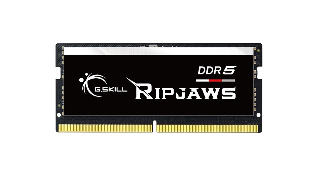 Módulo de memoria G.Skill Ripjaws F5-4800S3434A16GX1-RS