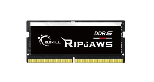 Módulo de memoria G.Skill Ripjaws F5-4800S4039A16GX1-RS