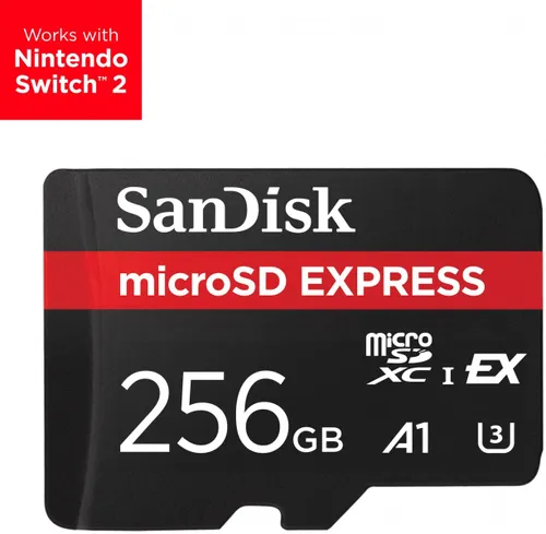 SanDisk Express 256 GB MicroSDXC UHS-I SDSQXFN-256G-GN4NN