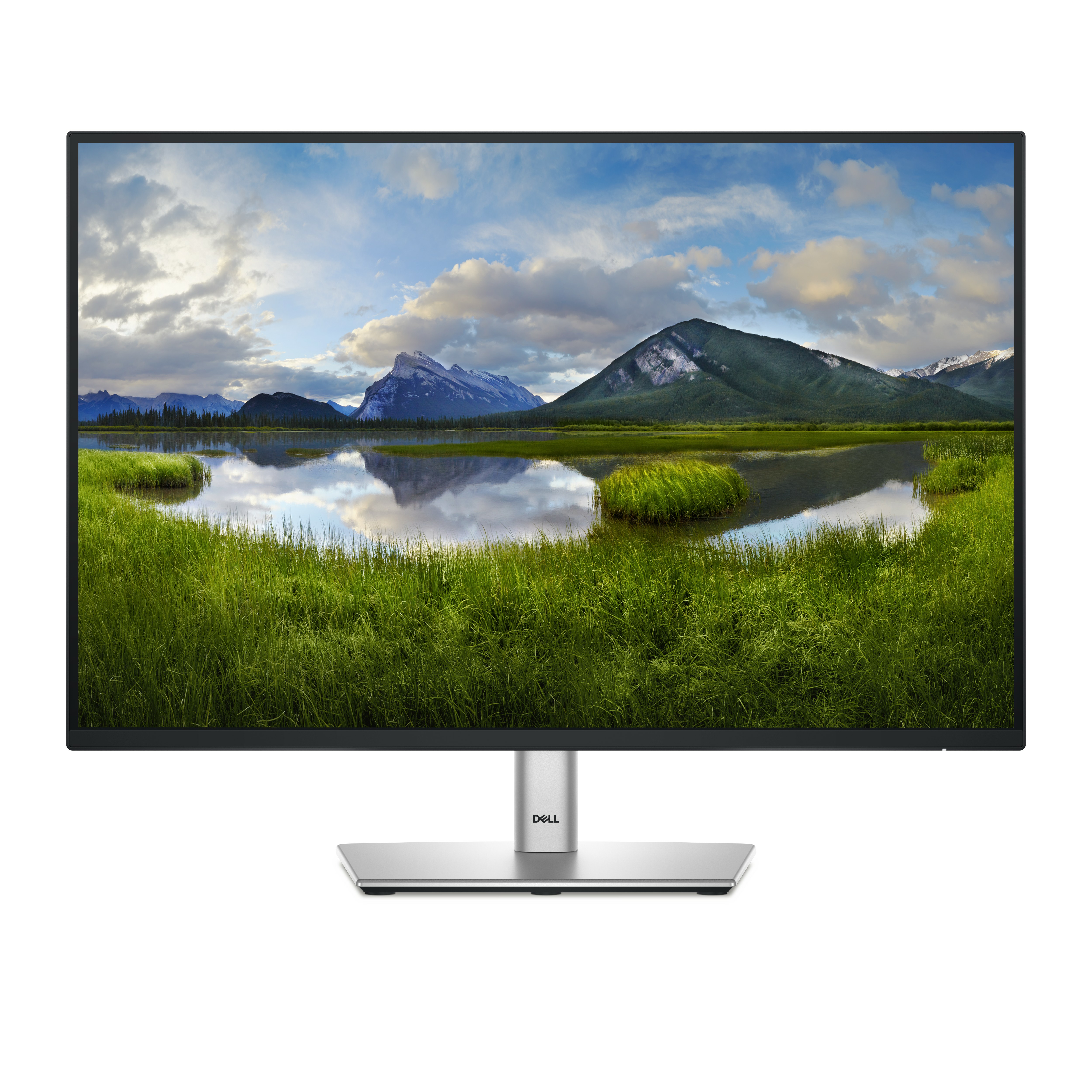 DELL Pro Plus P2425E pantalla para PC 61,1 cm (24.1") 1920 DELL-P2425E