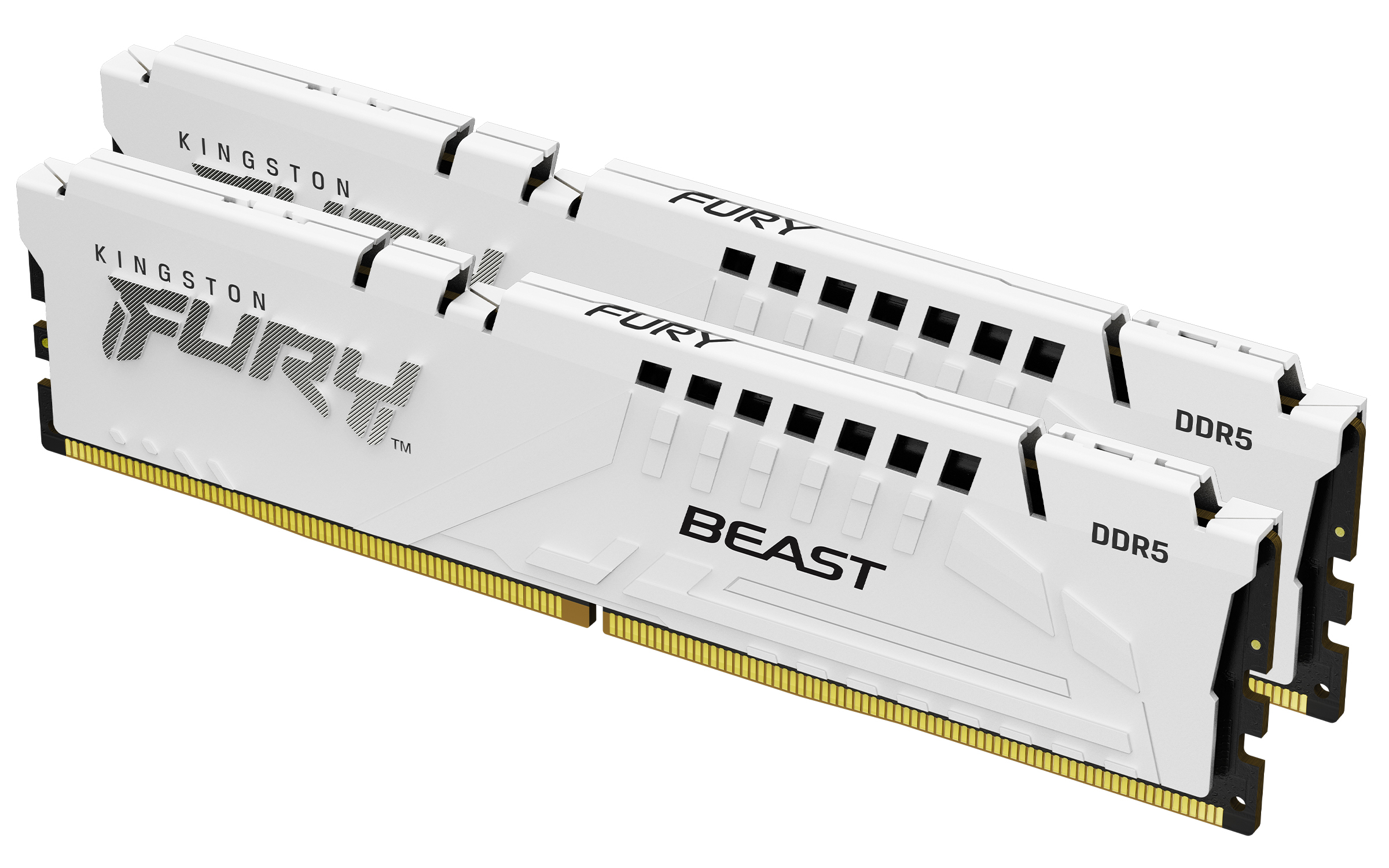 Kingston Fury Beast 32GB 2x16GB 6000M Hz CL36 EXPO Blanca