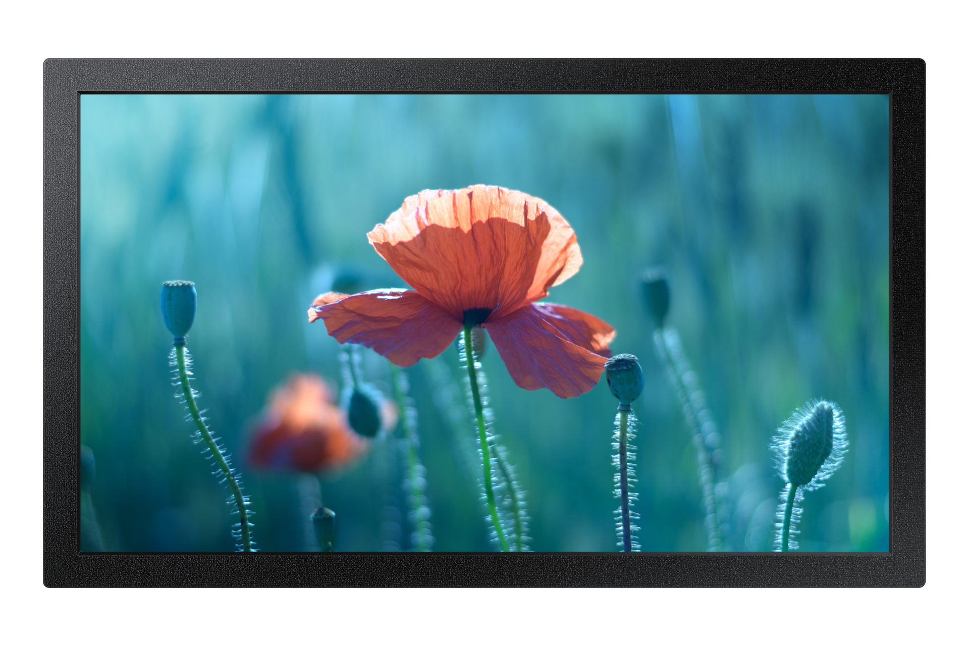 SAMSUNG QB13C 13" LCD ADS Full HD HDMI