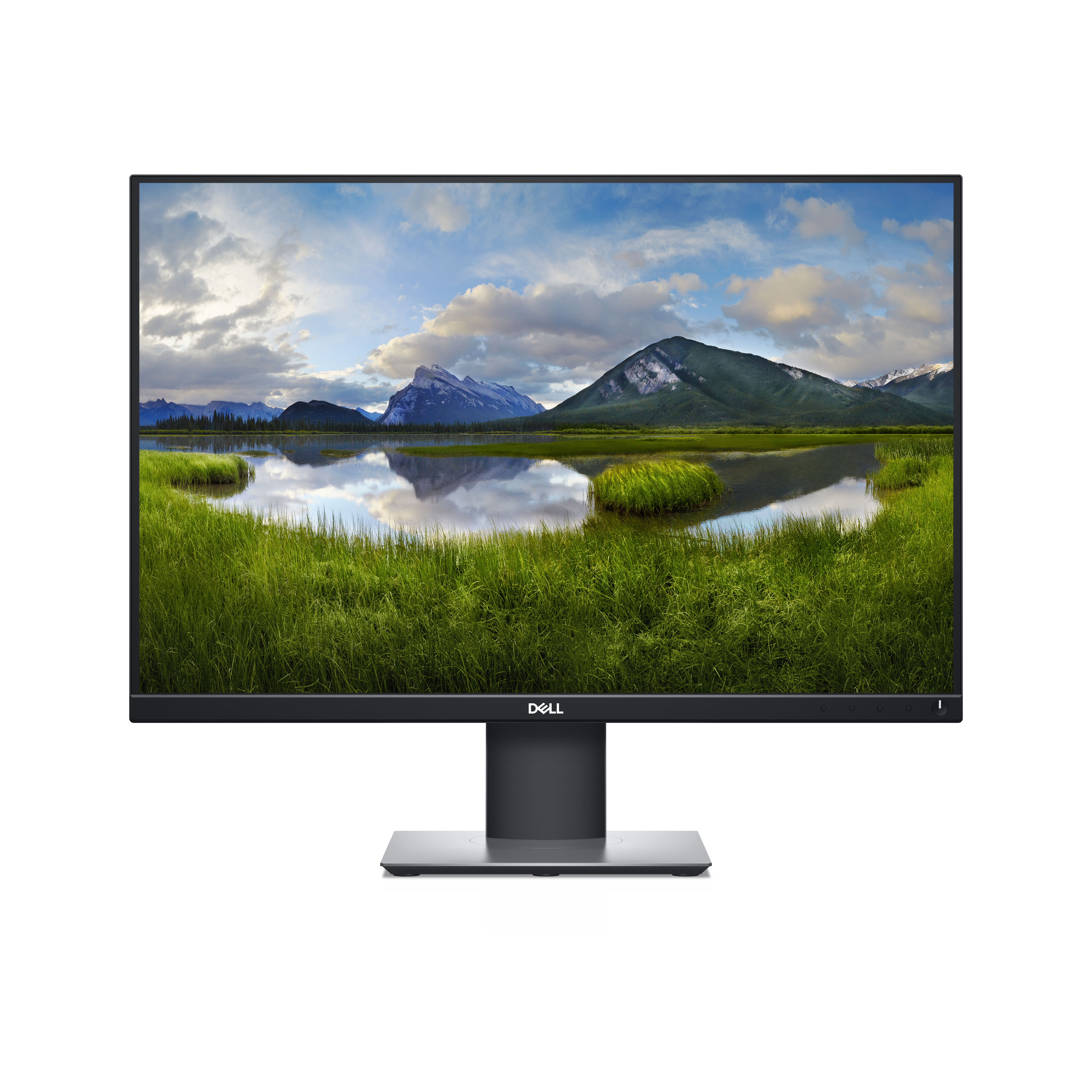 Dell P2421 - 61,2 cm (24.1") - 1920 x 1200 Pixeles - WUXGA - 210-AWLE