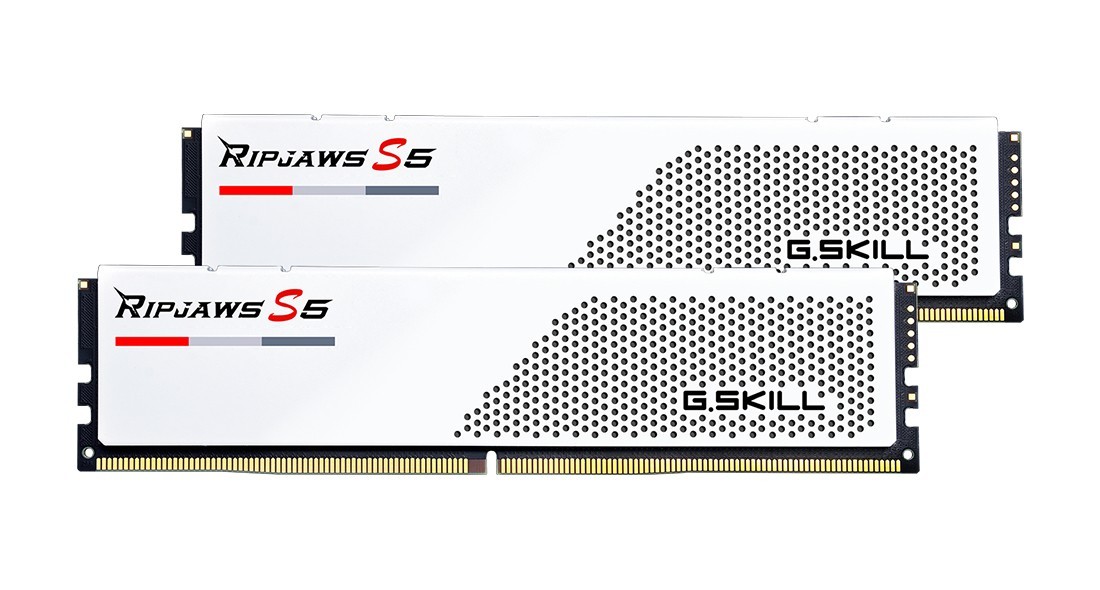 Módulo de memoria G.Skill Ripjaws F5-6000J3040G32GX2-RS5W