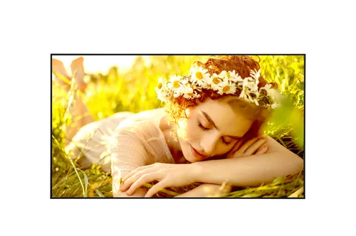 MONITOR LG 50UL5Q-M 50" VA 3840 x 2160 HDMI Altavoces