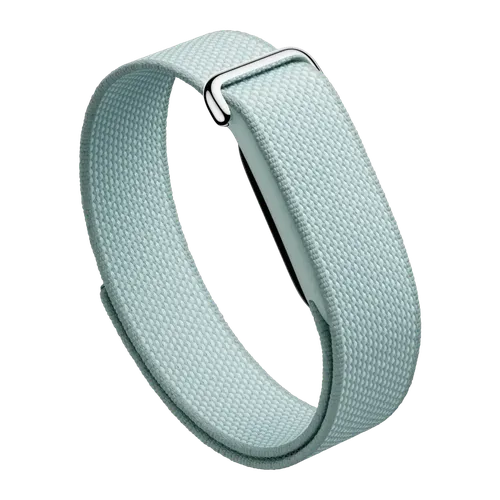 Google Fitbit Air Verde Frecuencia cardíaca, SpO2, Temperatura piel Batería 7 Días 5ATM