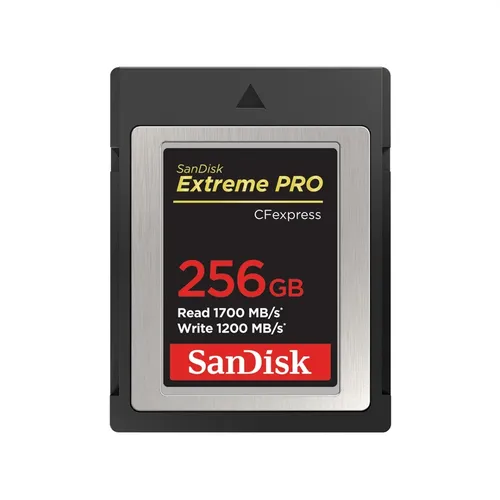 SanDisk SDCFE-256G-GN4NN memoria flash 256 GB SDCFE-256G-GN4NN