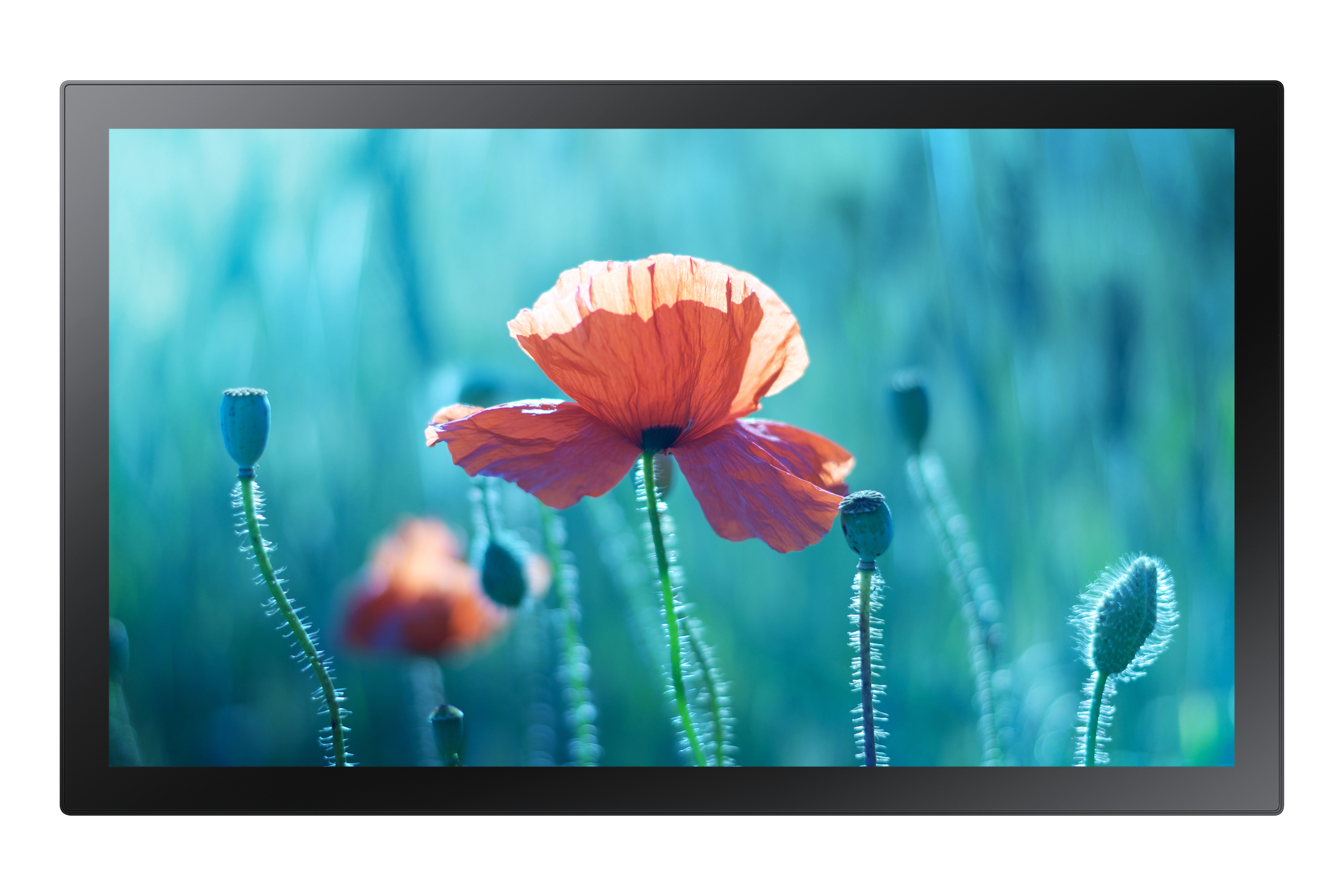 Samsung QB13R-TM Panel plano interactivo 33 cm (13") LH13QBRTMGCXEN
