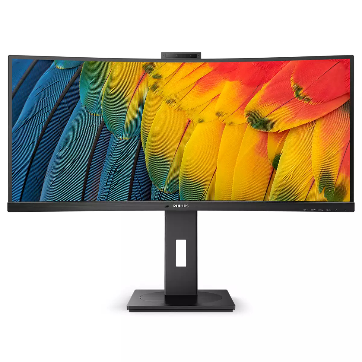 PHILIPS 5000 series 34" LCD VA Wide Quad HD HDMI Altavoces