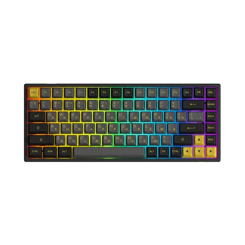 Black & Gold 3084B Plus