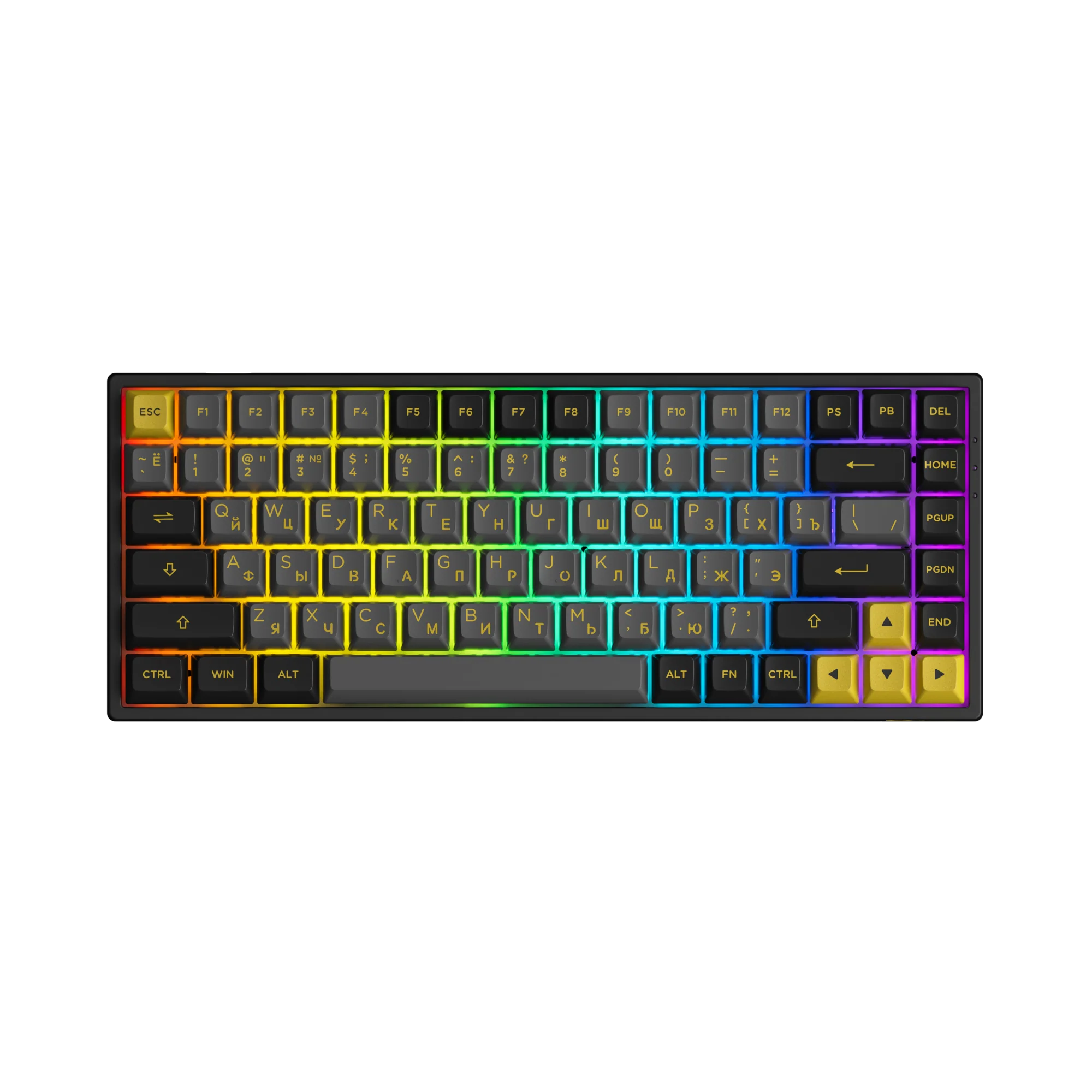 Black & Gold 3084B Plus