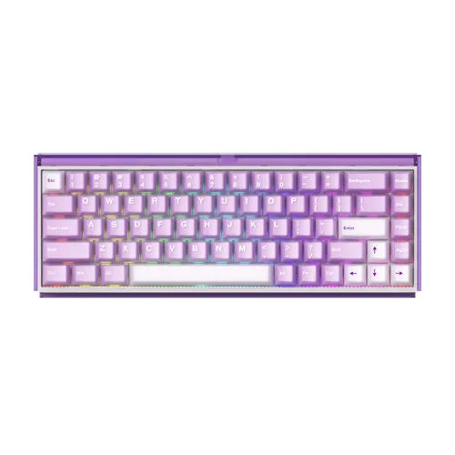 Ray68 HE Magnetic Keyboard