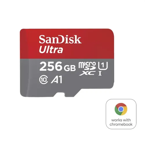 Western Digital SDSQUAC-256G-GN6FA memoria flash SDSQUAC-256G-GN6FA