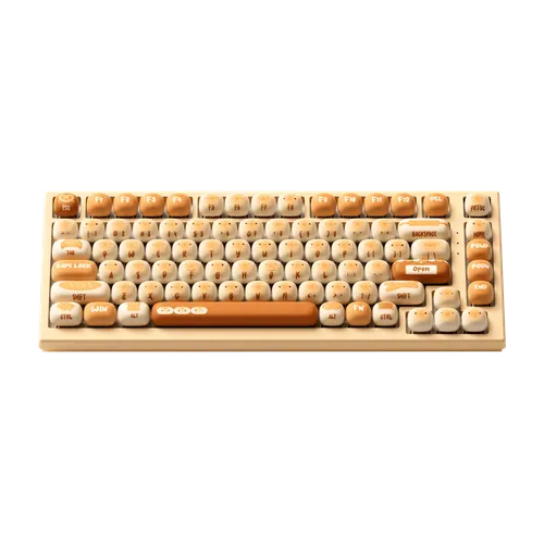 MG75W Bun Wonderland: imagen 3
