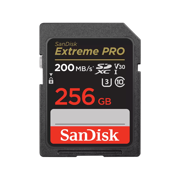 SanDisk Extreme PRO 256 GB SDXC UHS-I Clase 10 SDSDXXD-256G-GN4IN