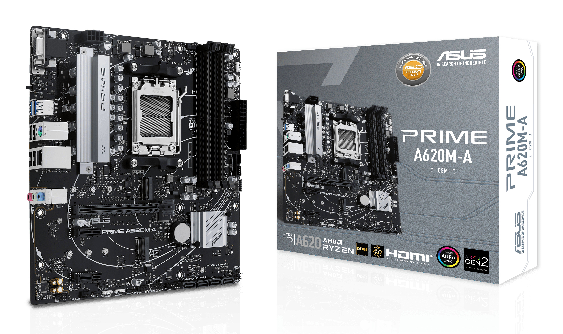ASUS PRIME A620M-A-CSM AMD A620 Zócalo AM5 micro ATX 90MB1F10-M0EAYC