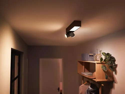 Philips Hue White & Color Ambiance Plafón Centris De Dos Focos Negro: imagen 3