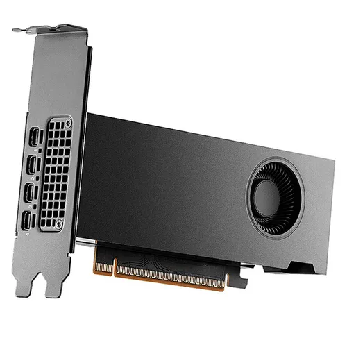 PNY NVIDIA RTX PRO 2000 IA Blackwell 16GB GDDR7 Bulk