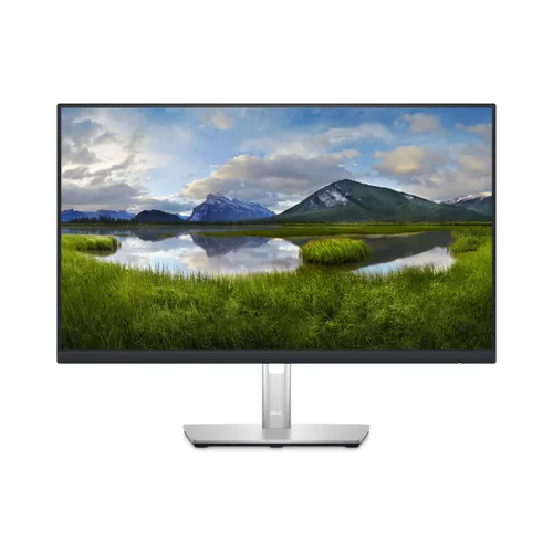 DELL P Series Monitor 60,45cm (23,8") – P2423D DELL-P2423D