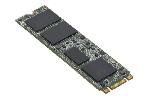 Fujitsu PY-MF24YN5 unidad de estado sólido 240 GB M.2 PY-MF24YN5