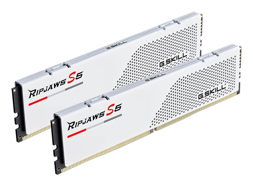 Módulo de memoria G.Skill Ripjaws S5 F5-6000J2836G16GX2-RS5W