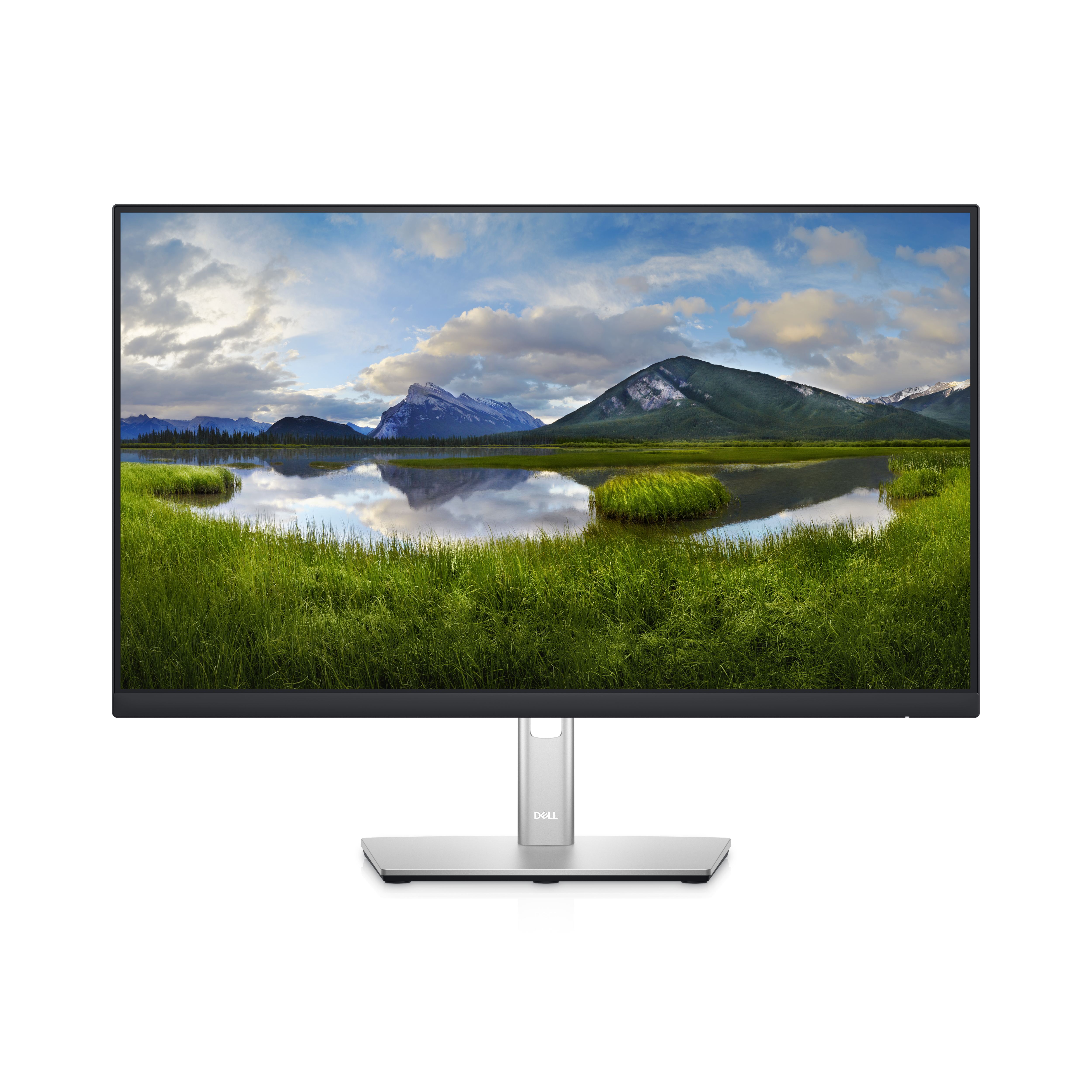 DELL P Series Monitor 60,96 cm (24") con concentrador DELL-P2422HE