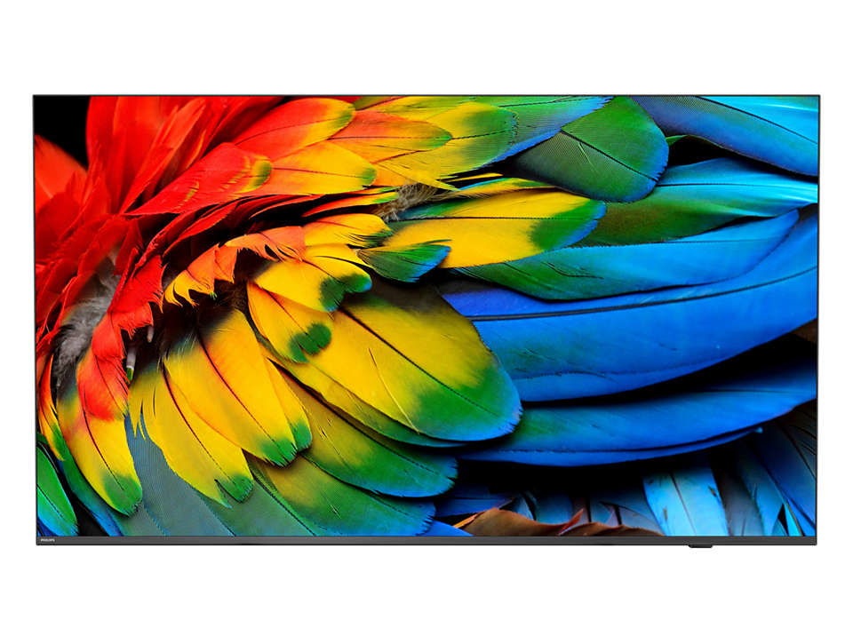 Philips 75HFL6214U 190,5 cm (75") 4K Ultra HD Smart TV 75HFL6214U/12