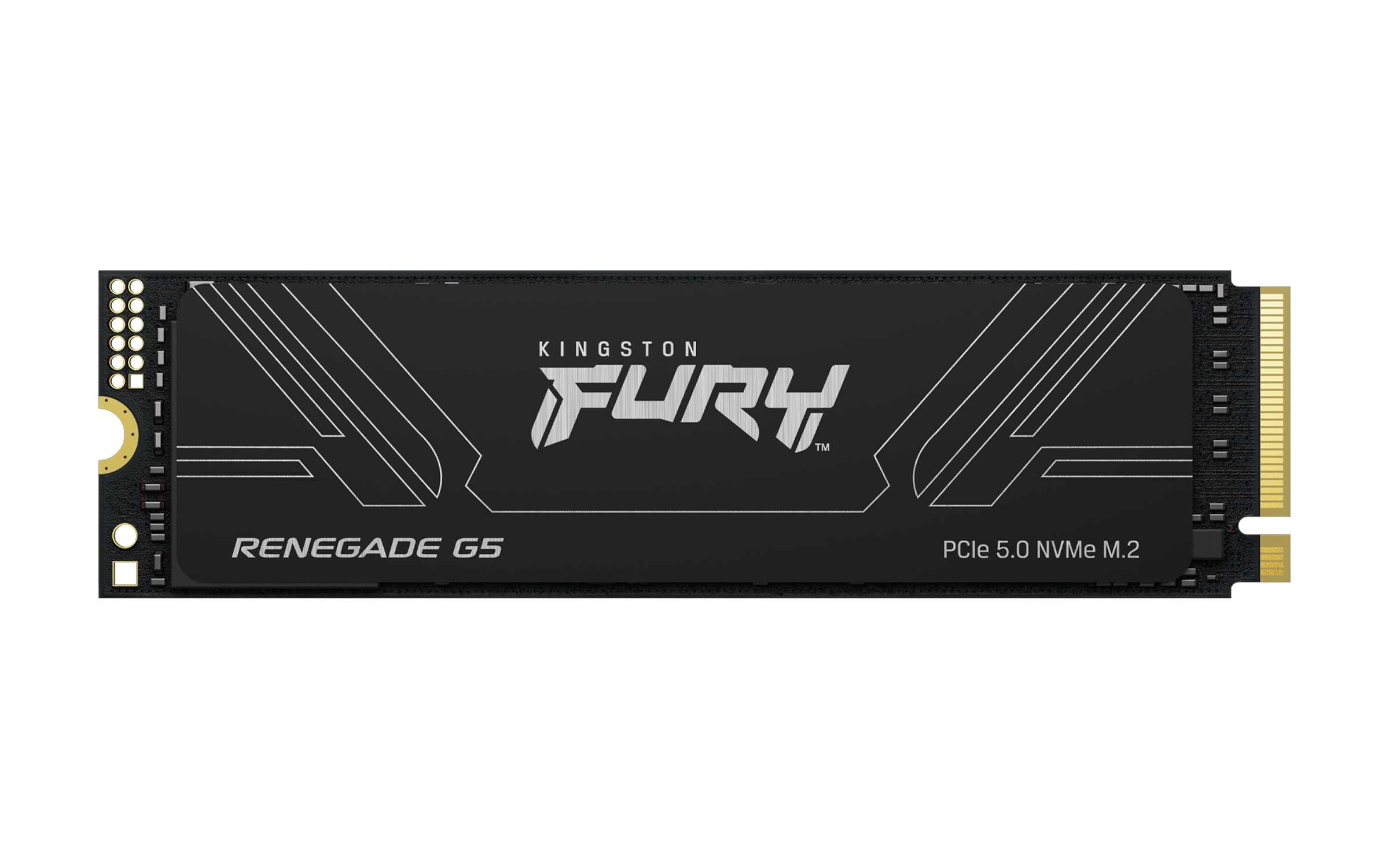 Kingston Technology 1T FURY RENEGADE G5 M.2 2280 NVMe SSD SFYR2S/1T0
