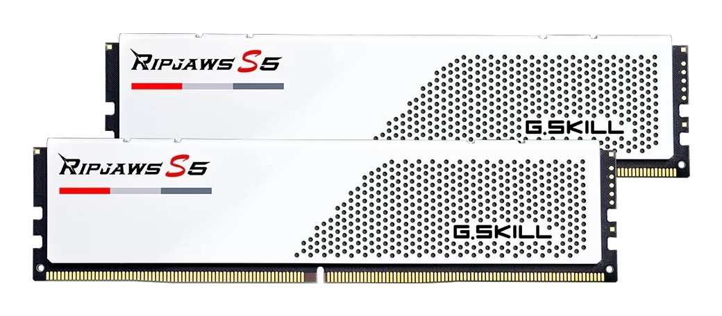 Módulo de memoria G.Skill F5-6000J2836G32GX2-RS5W
