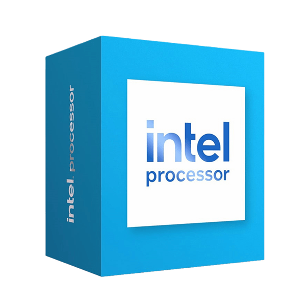 INTEL 300 LGA 1700